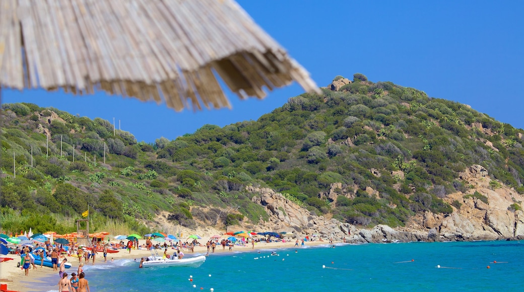 Campus Beach showing a sandy beach