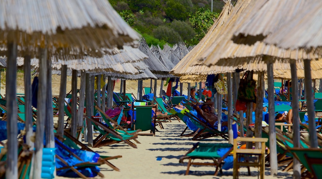 Campus Beach showing a beach