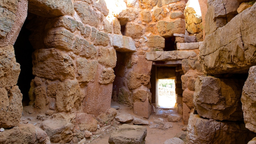 Nuraghe di Palmavera welches beinhaltet Ruine