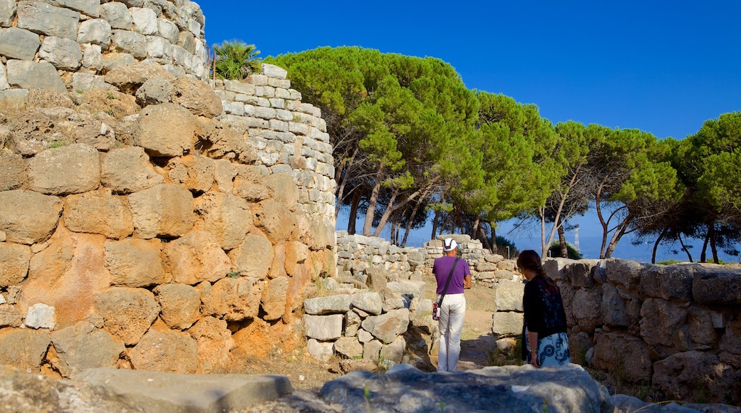 Nuraghe di Palmavera showing building ruins, heritage elements and heritage architecture