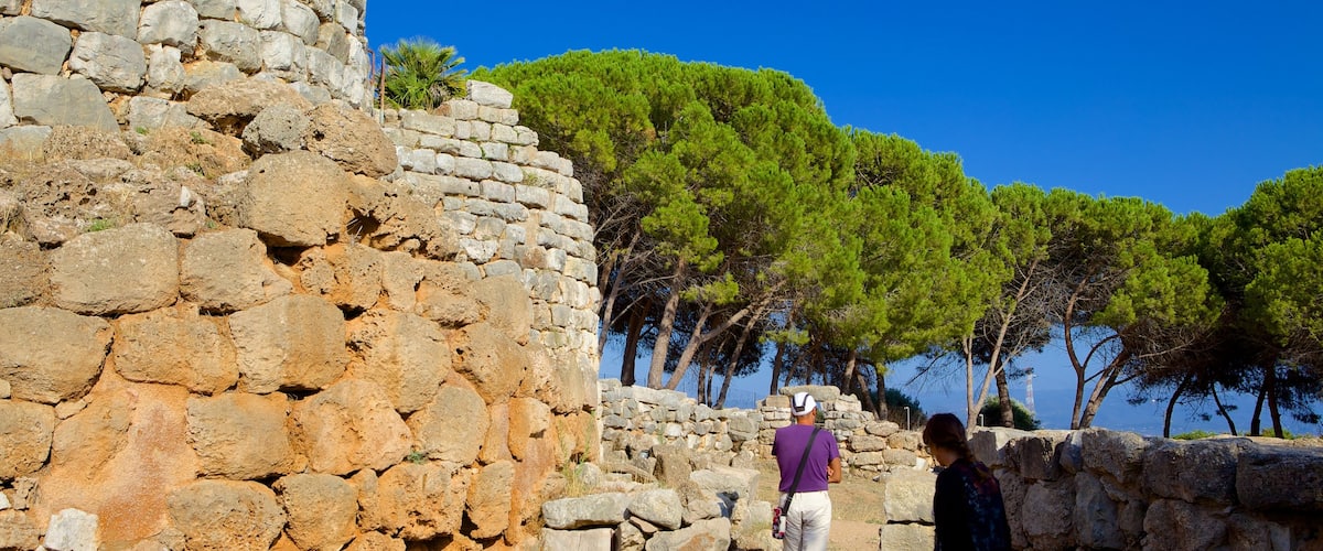Nuraghe di Palmavera featuring raunio, vanha arkkitehtuuri ja perintökohteet