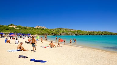 Le Saline Beach showing swimming, landscape views and general coastal views