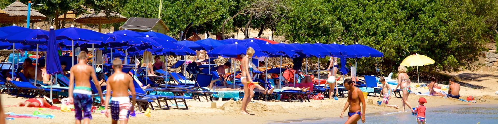 Le Saline Beach featuring swimming and a sandy beach as well as a large group of people