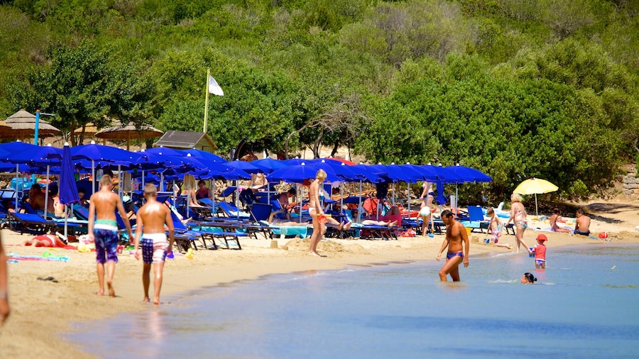 Le Saline Beach featuring swimming and a beach as well as a large group of people