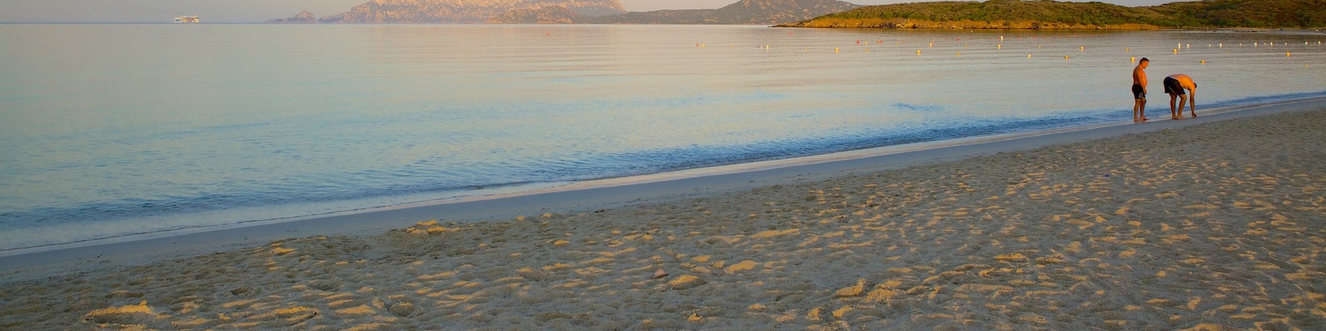 Pittulongu Beach showing a beach