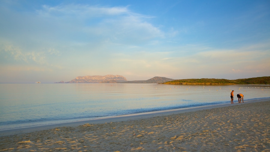 Playa de Pittulongu ofreciendo una playa