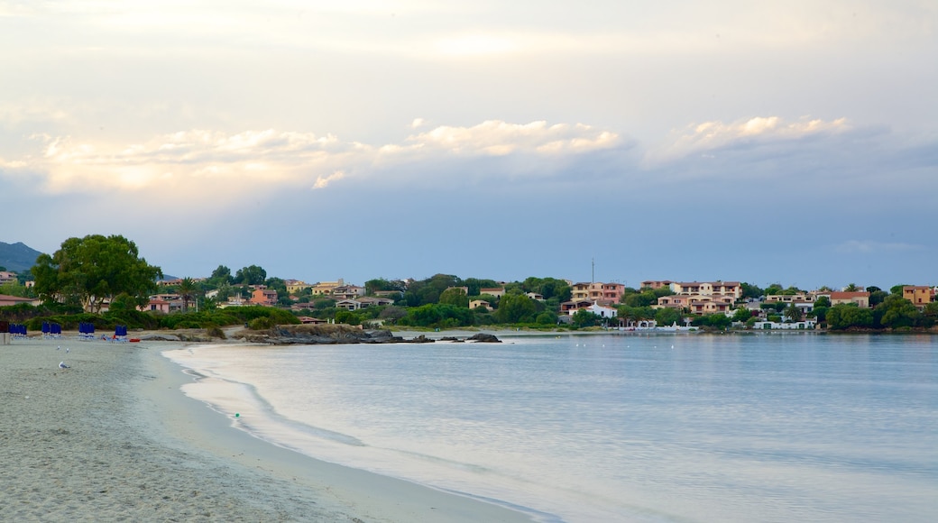 Playa de Pittulongu que incluye una playa de arena