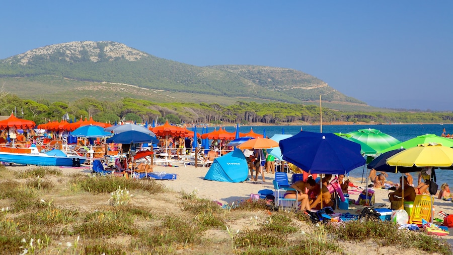 Alghero, Italien som omfatter en sandstrand