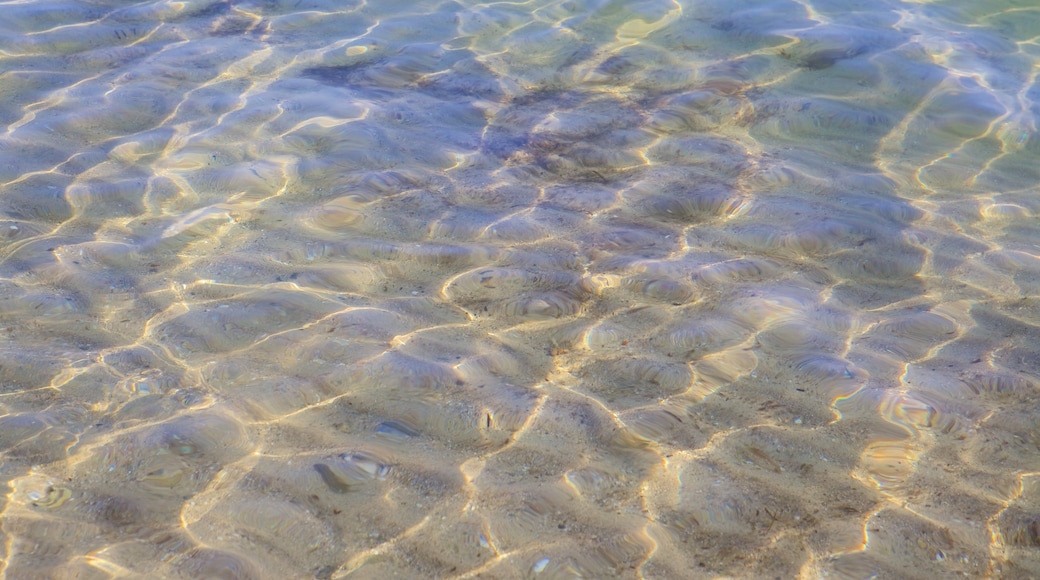 穆格尼海滩