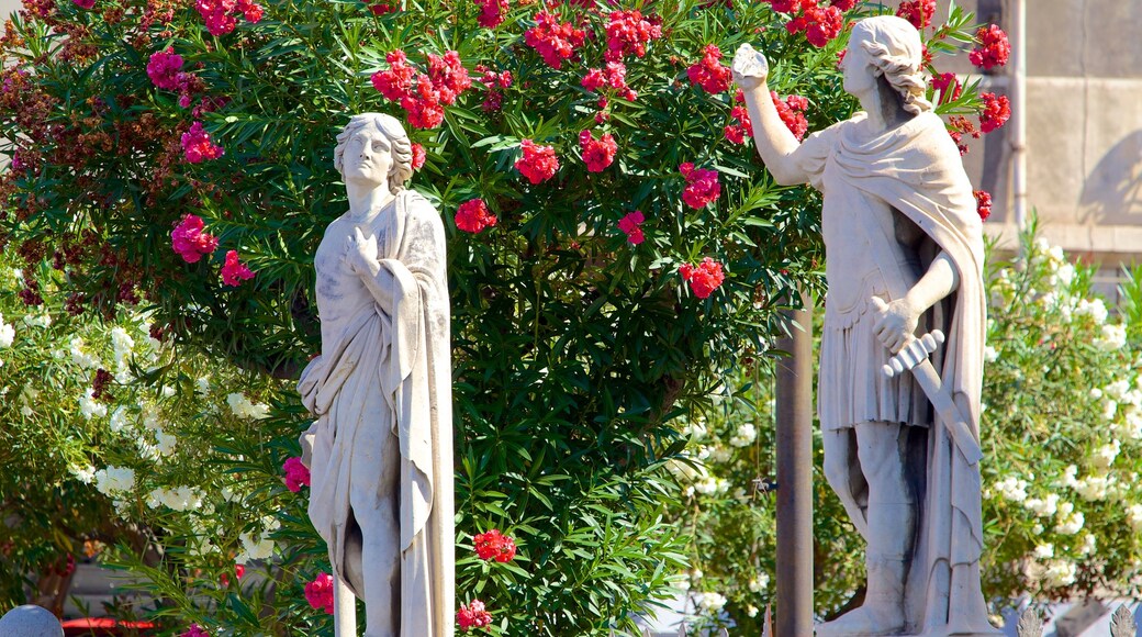 Platz der Kathedrale welches beinhaltet Outdoor-Kunst, Blumen und Statue oder Skulptur