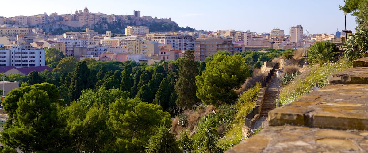 Sanctuary of Our Lady of Bonaria which includes a city