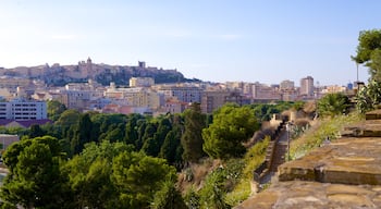 Sanctuary of Our Lady of Bonaria featuring a city