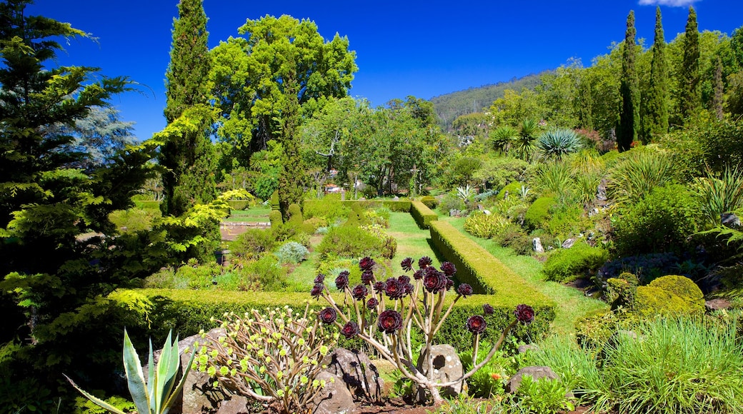 Palheiro Gardens som omfatter en have
