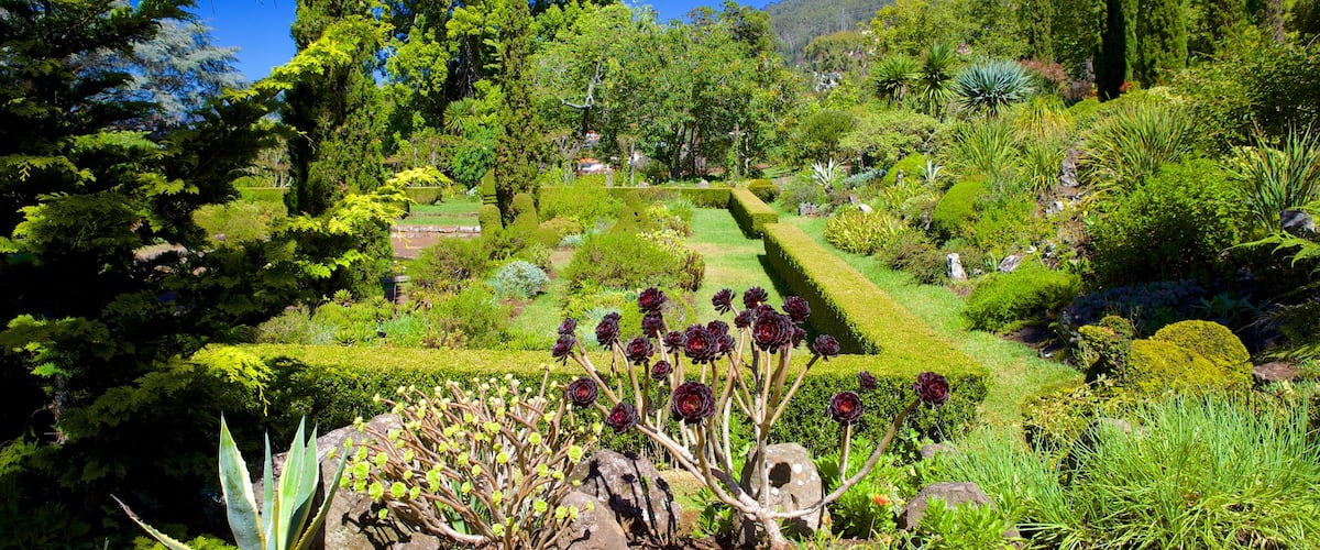Jardins de Palheiro mettant en vedette jardin
