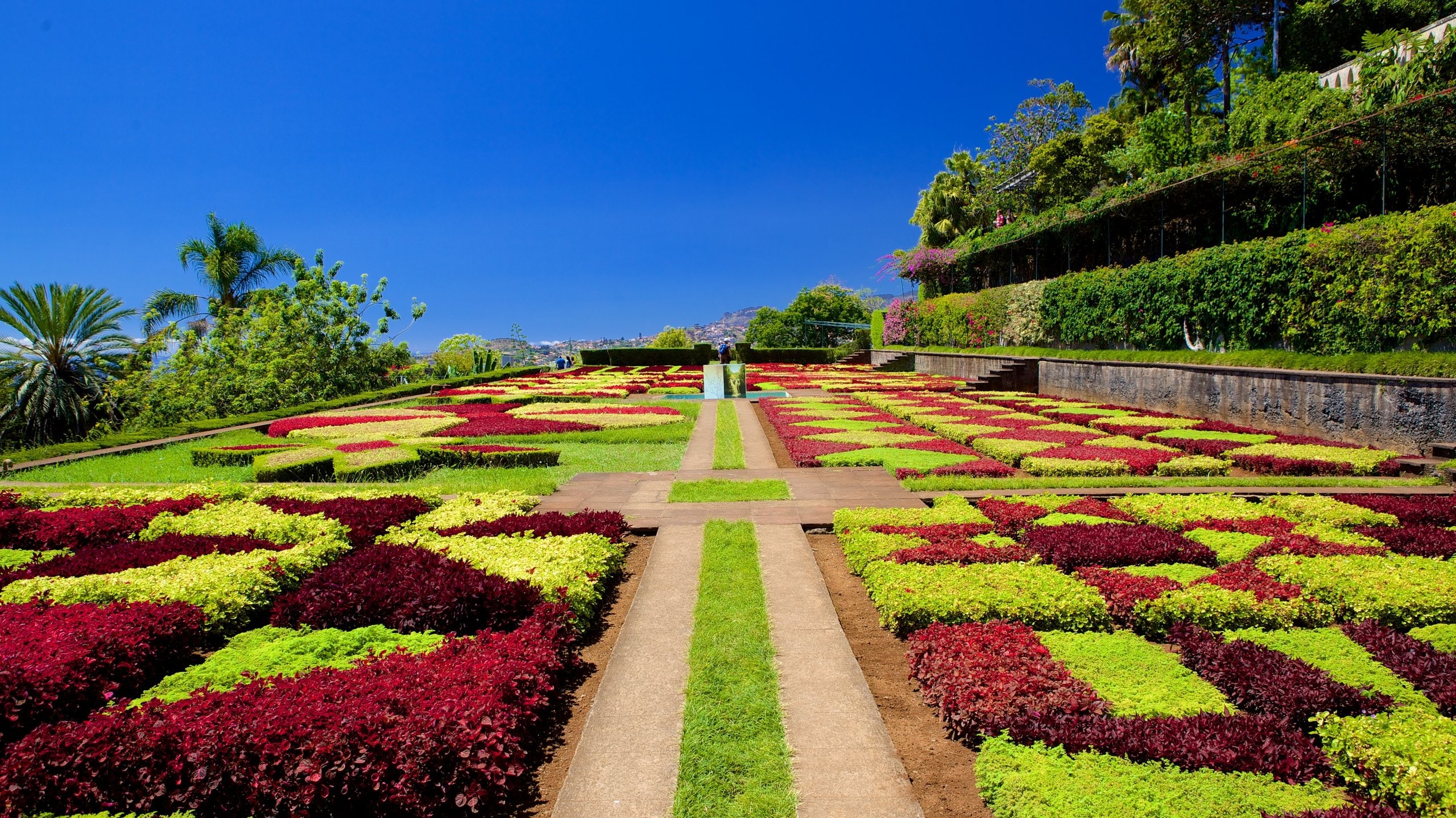 Funchal mostrando flores y un parque
