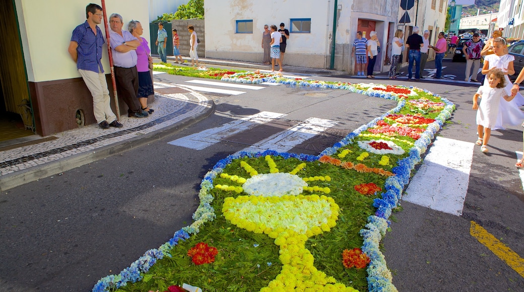 Machico bevat straten, kunst in de open lucht en bloemen