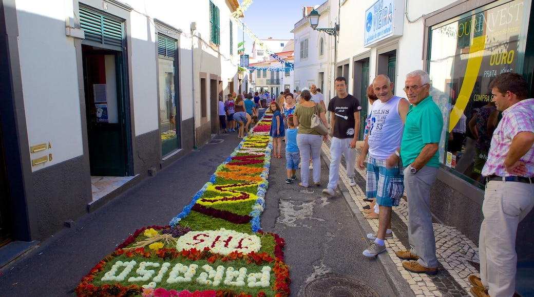 Machico que incluye escenas cotidianas, arte al aire libre y flores