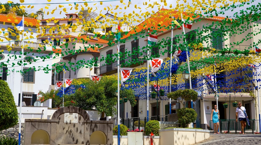 Ponta do Sol featuring street scenes and flowers