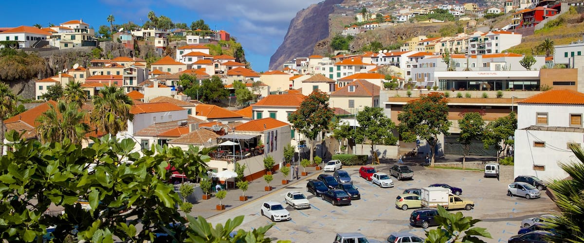 Camara de Lobos which includes a city