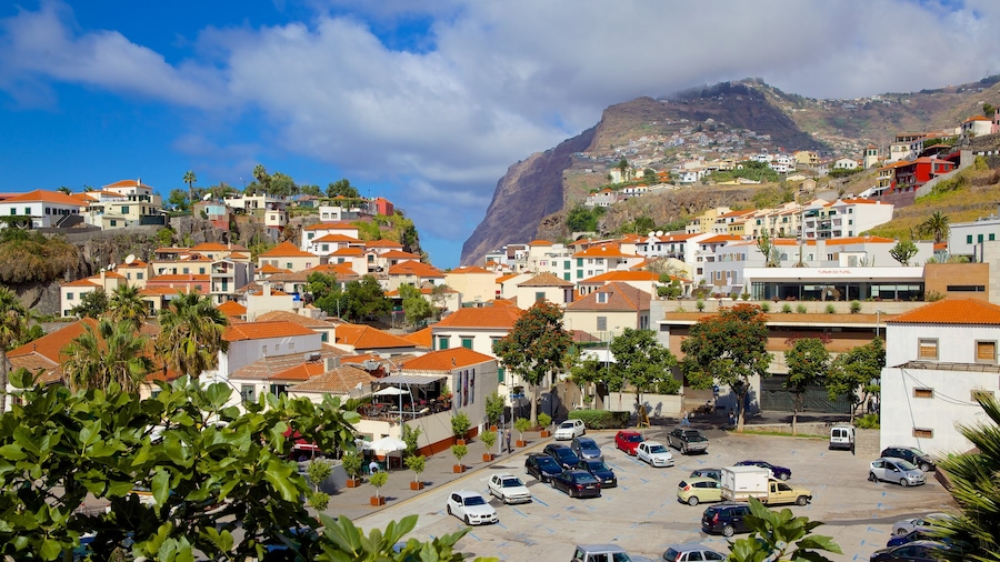 Camara de Lobos showing a city