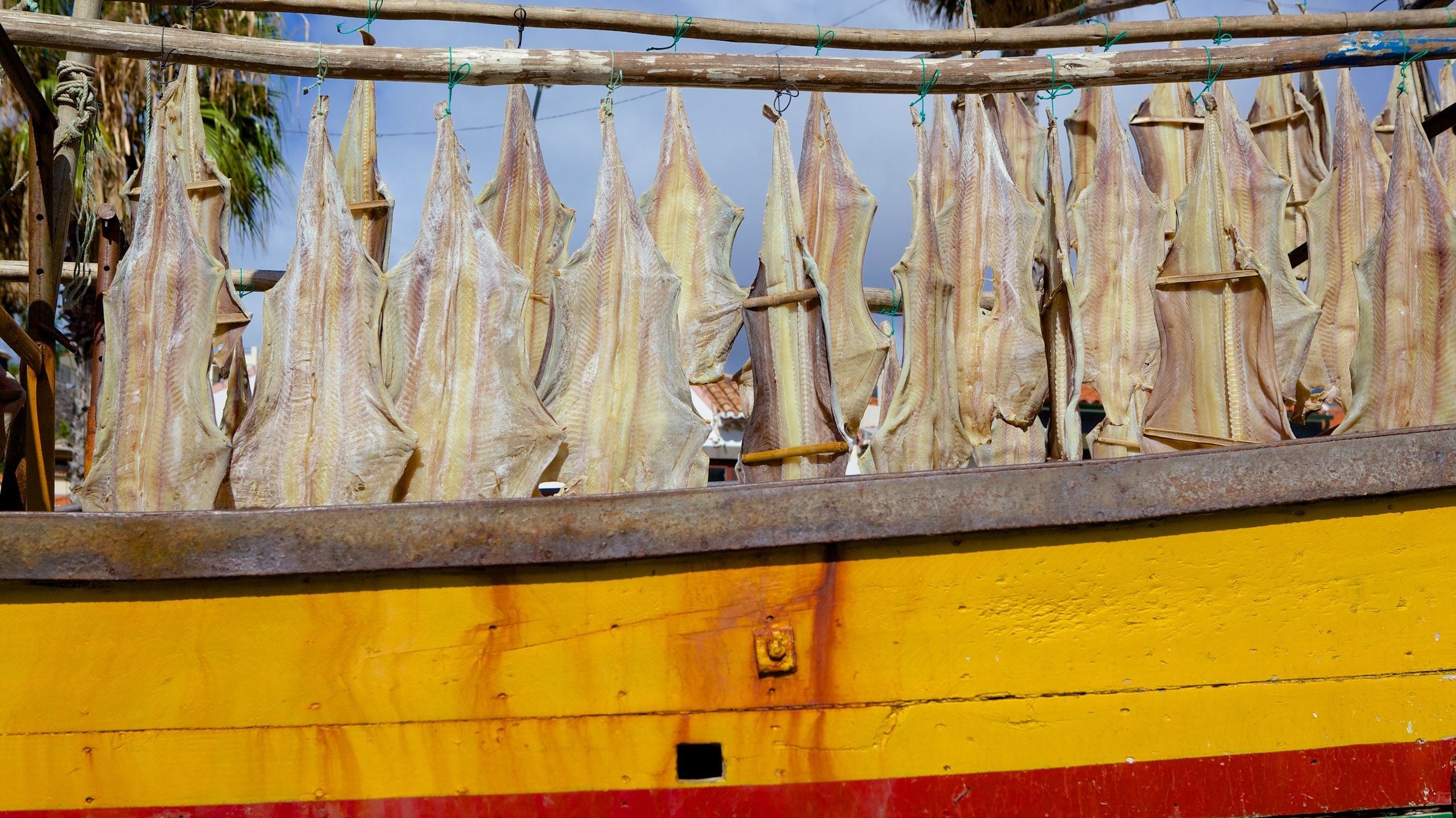 Camara de Lobos which includes markets