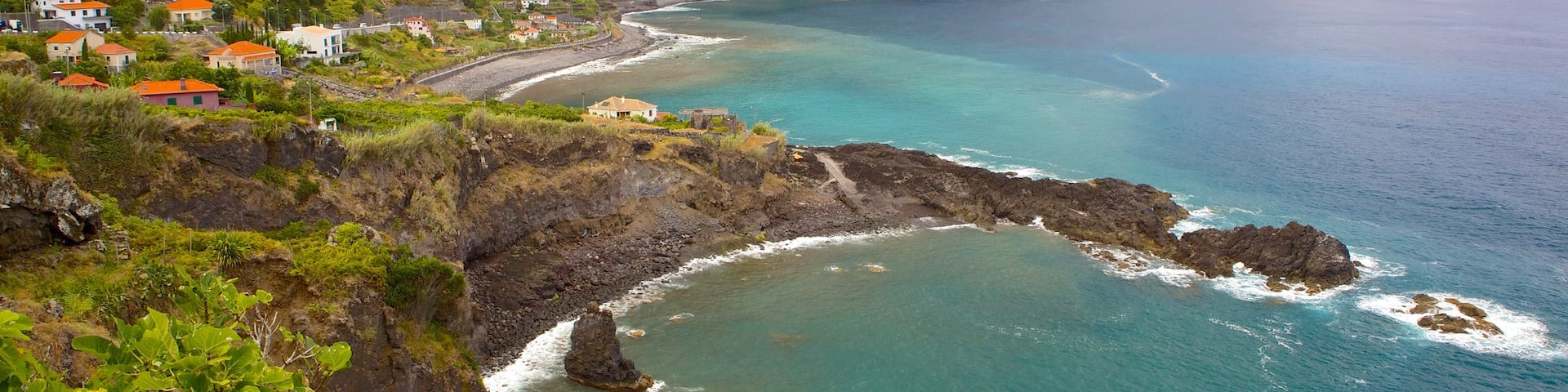 Madeira Island featuring rocky coastline