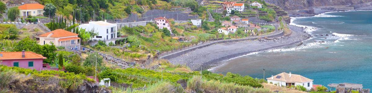Madeira Island showing a coastal town and general coastal views