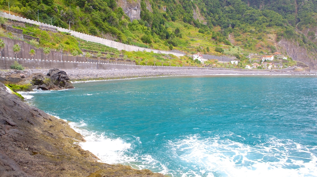 Madeira Island featuring rocky coastline