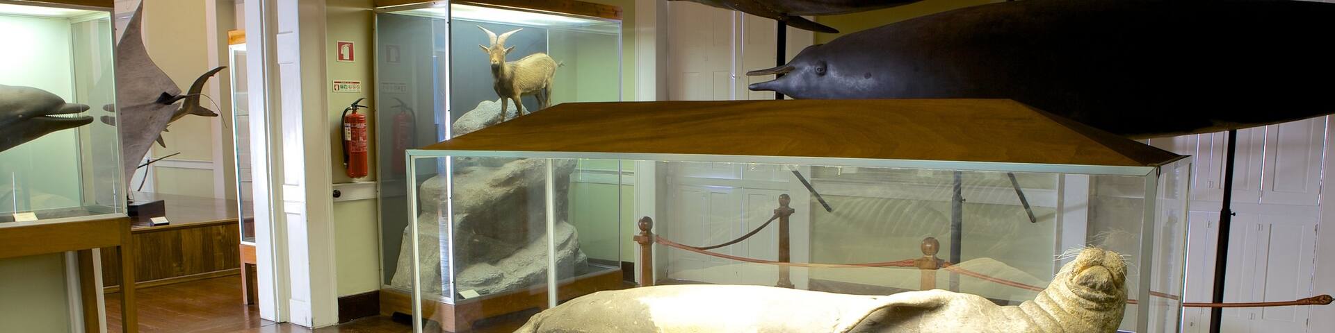 Museum of Natural History showing interior views