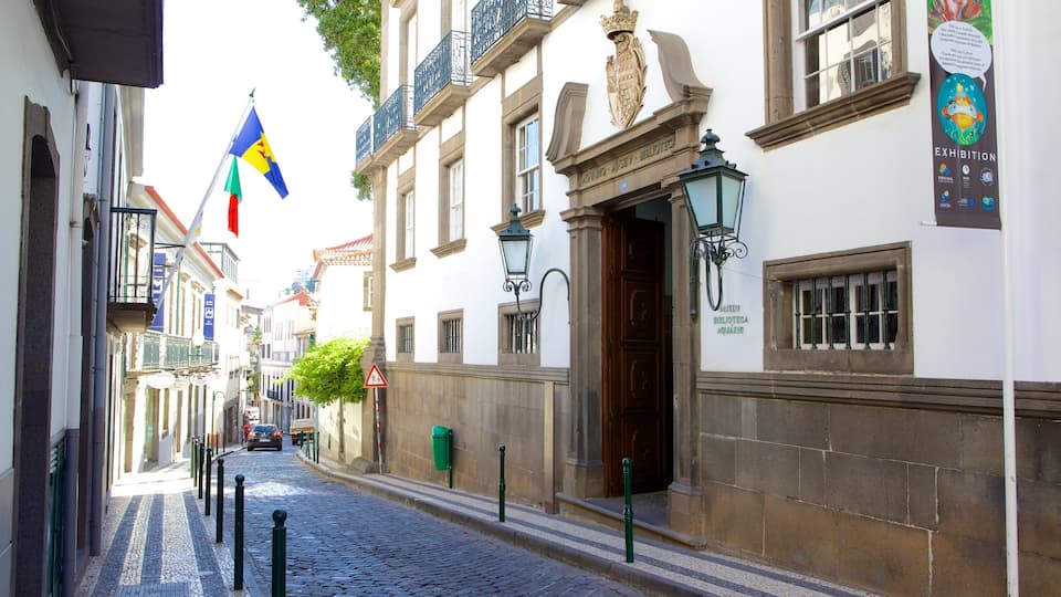 Museum of Natural History showing a small town or village and street scenes