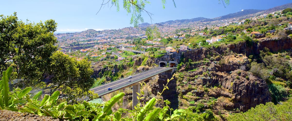 MadĂšre qui includes scĂšnes tranquilles et pont