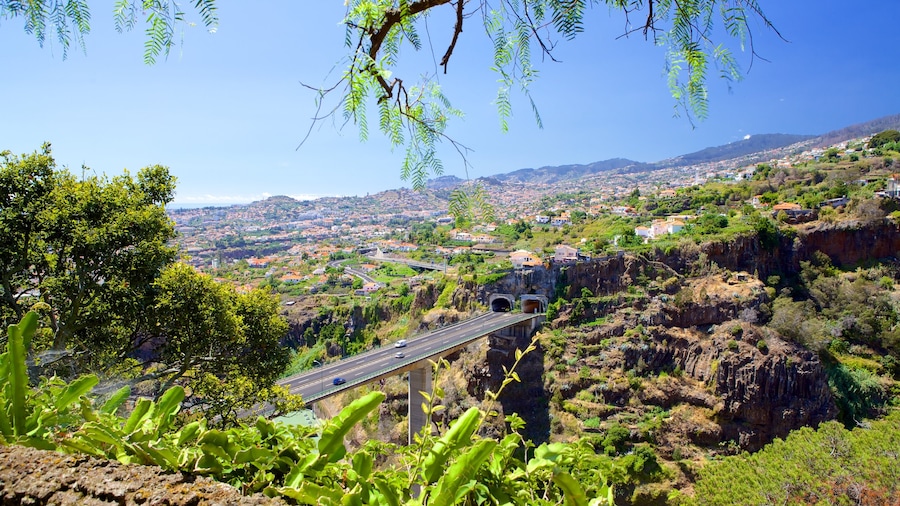 Madeira som viser fredfyldte omgivelser og en bro