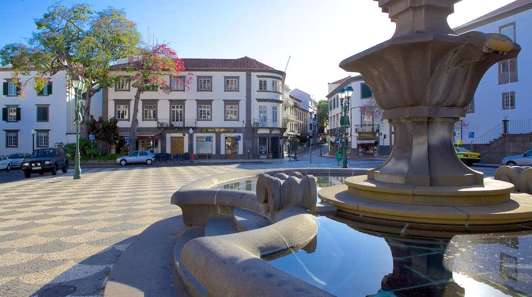 Town Square which includes a fountain and a square or plaza