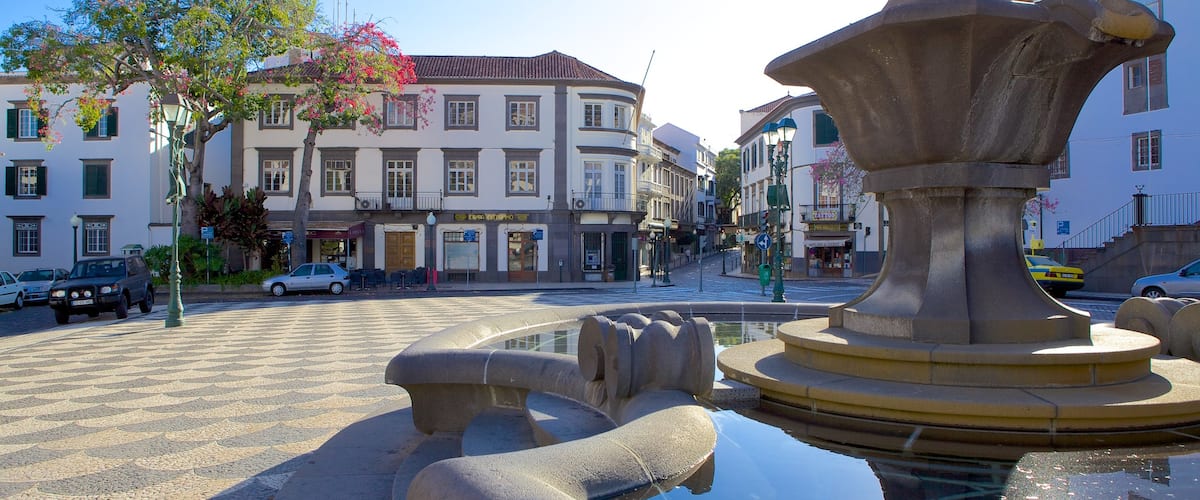 Plaza principal ofreciendo una fuente y un parque o plaza