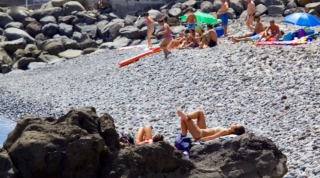 Santa Cruz Beach che include spiaggia di ciottoli cosi come un grande gruppo di persone