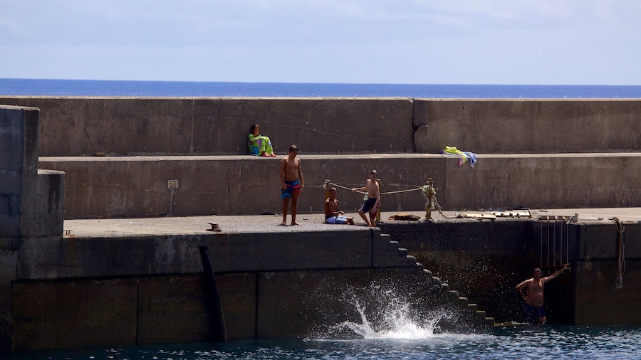 Santa Cruz Beach showing swimming