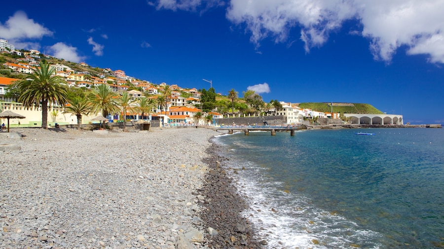 Santa Cruz Beach showing a coastal town and a pebble beach