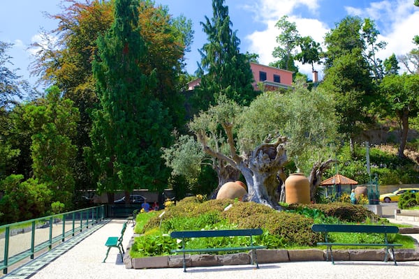 Jardins tropicaux de Monte Palace qui includes parc