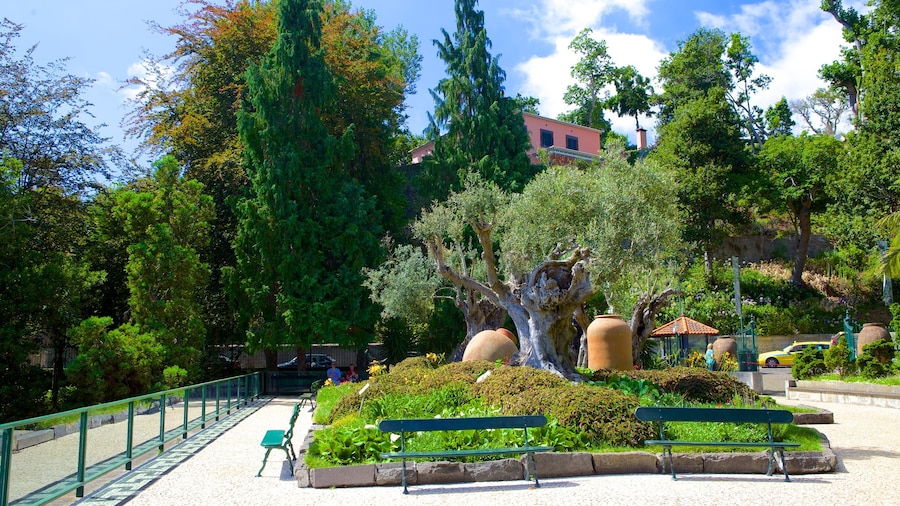 Monte Palace Gardens showing a park
