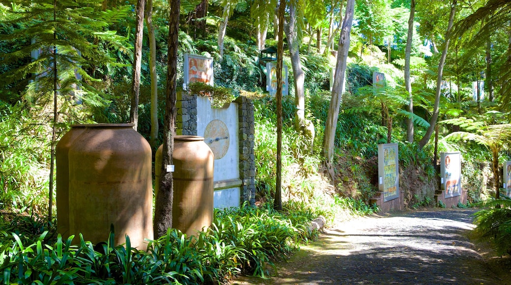 Monte Palace Gardens showing a garden