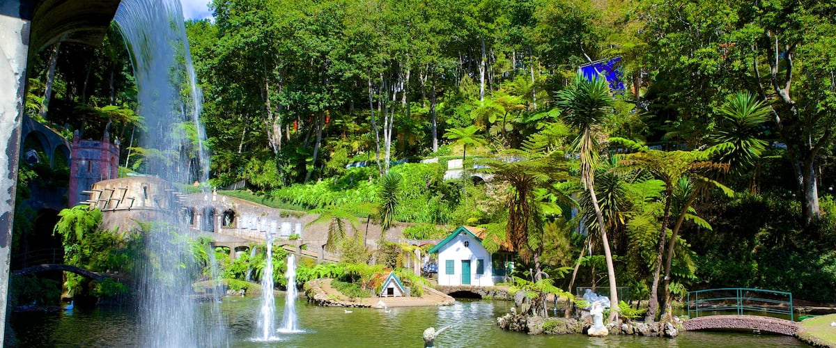 Monte Palace Gardens showing a pond
