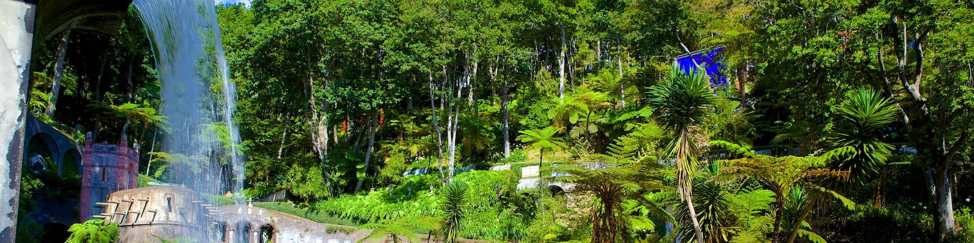 Monte Palace Gärten welches beinhaltet Teich