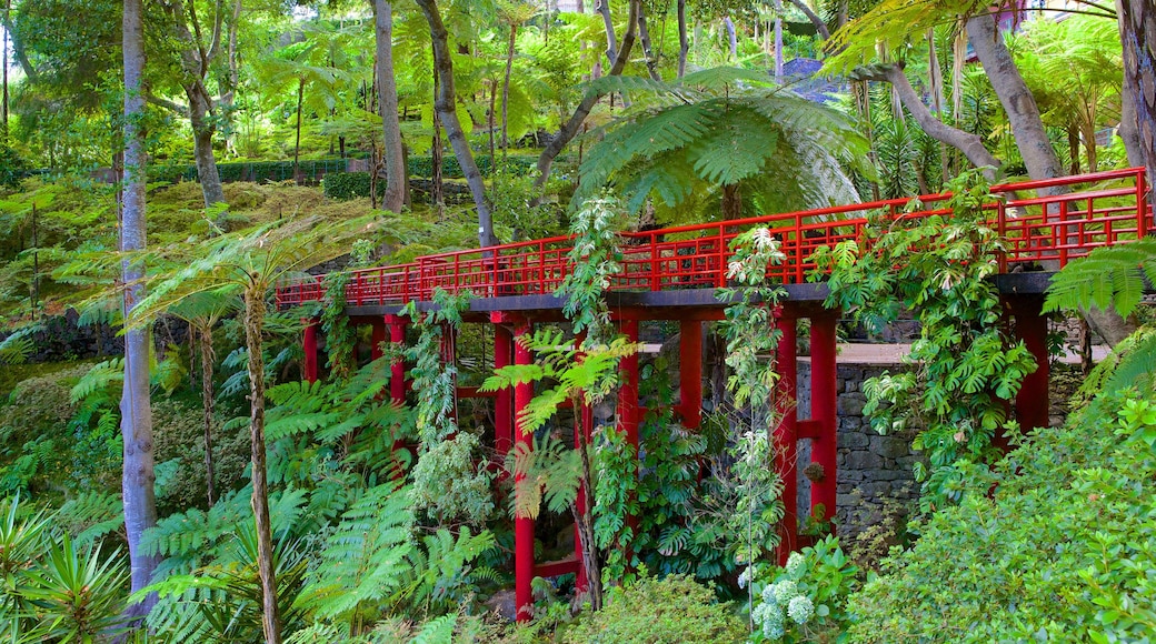 Monte Palace Gardens som inkluderar en bro, en trädgård och en hängbro