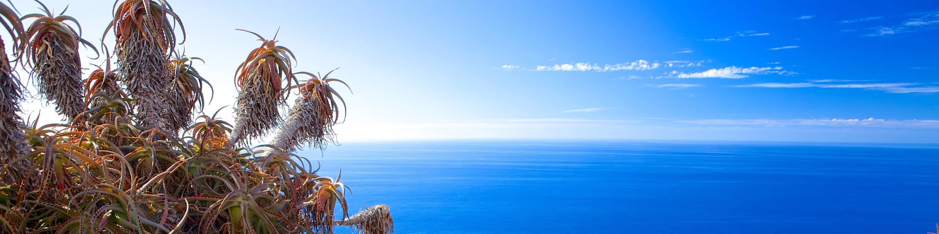 Ponta da Oliveira showing landscape views and general coastal views