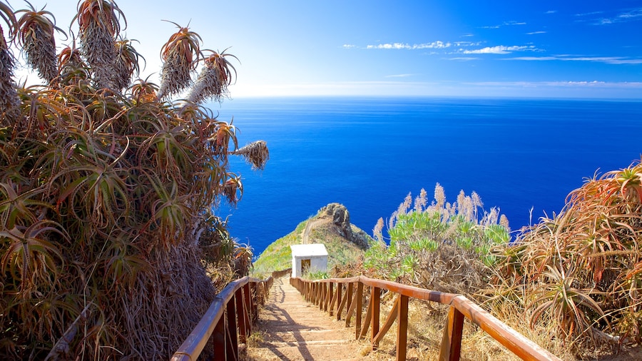 Ponta da Oliveira toont algemene kustgezichten en landschappen