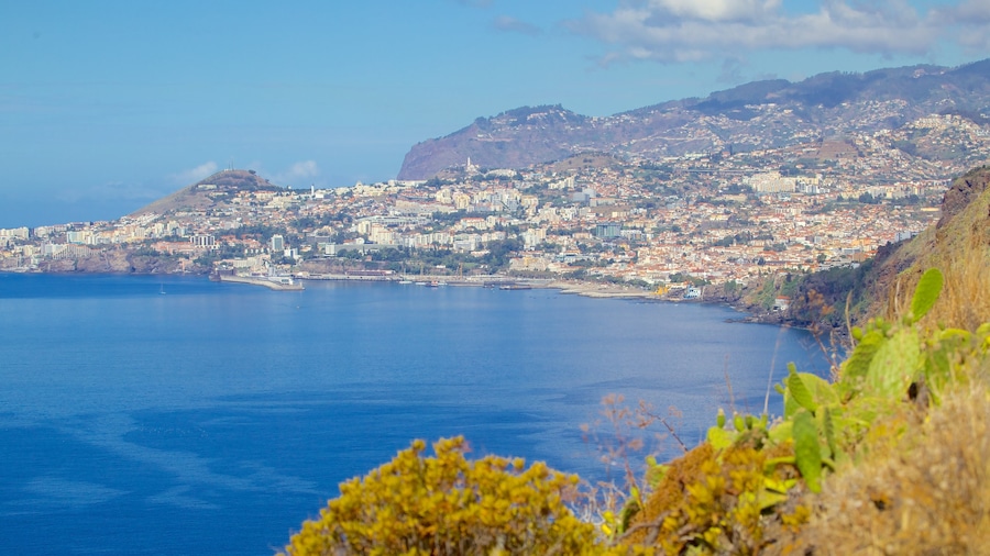 Ponta da Oliveira que incluye vistas de paisajes, vistas generales de la costa y una ciudad costera