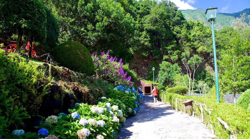 Caves of Sao Vicente and Volcanism Center showing a park and flowers