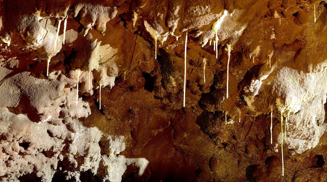 Caves of Sao Vicente and Volcanism Center showing caves