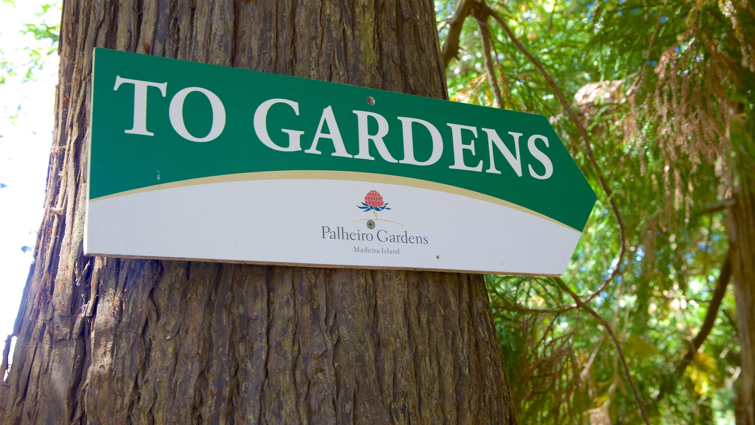 Palheiro Gardens which includes signage