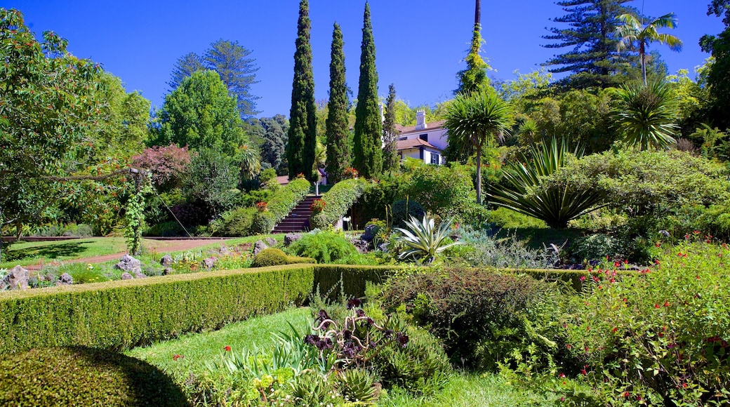 Jardins de Palheiro montrant parc